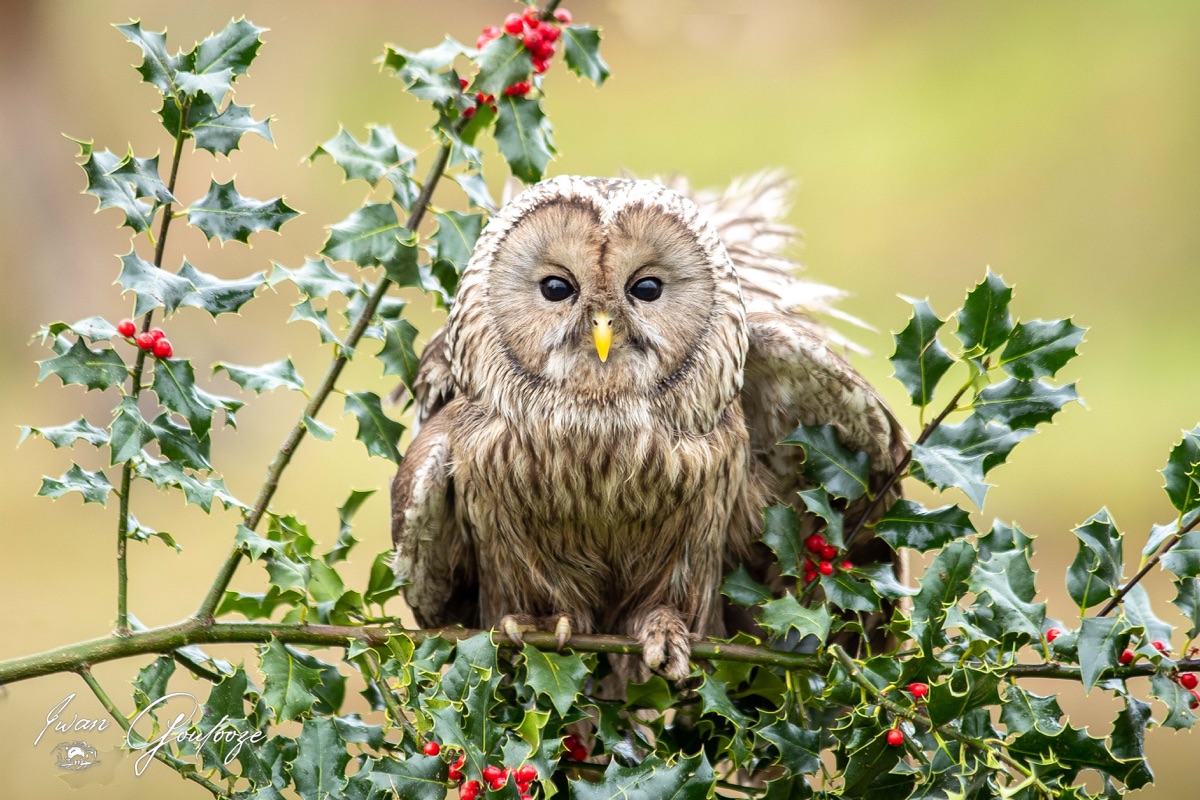 1DX45550 28 november 2021 1410 39